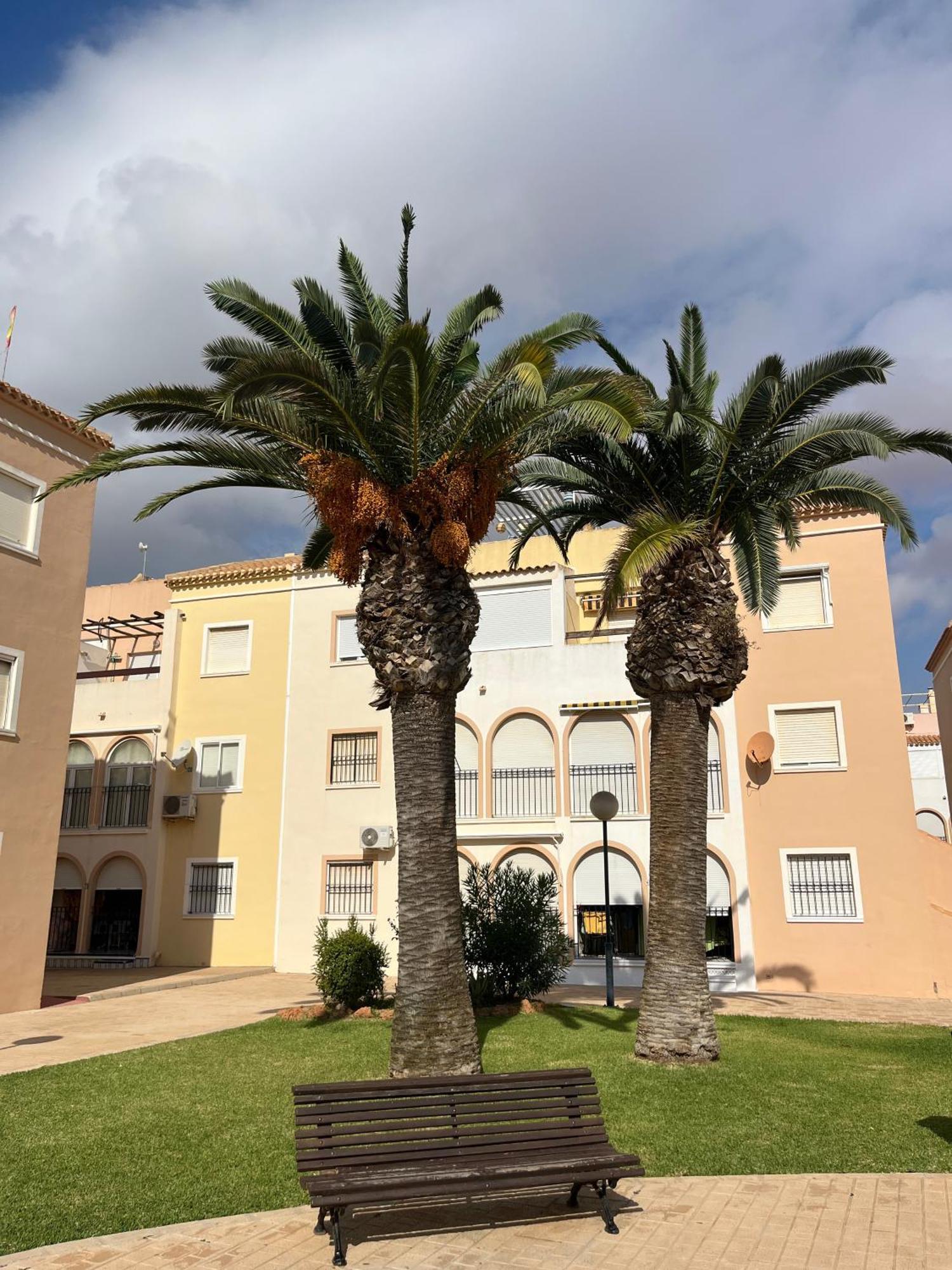 Torrevieja 2 Bedrooms Appartment Buitenkant foto
