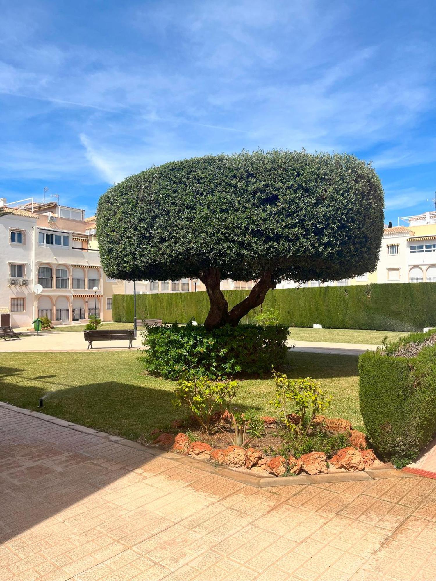 Torrevieja 2 Bedrooms Appartment Buitenkant foto